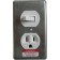 DS Switch